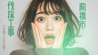 前橋市でおすすめの伐採工事業者3選