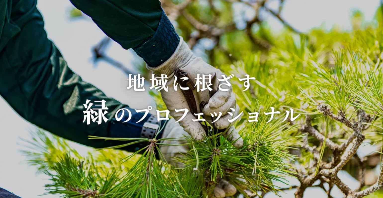 イメージ画像