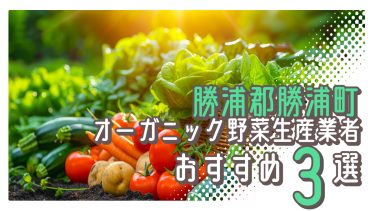 勝浦郡勝浦町でおすすめのオーガニック野菜生産業者３選